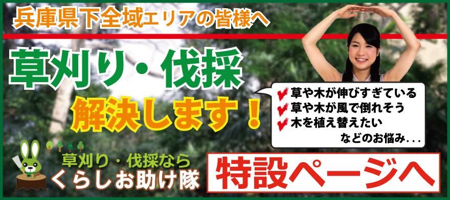 兵庫県下全域エリアの皆様へ草刈り・伐採解決します。草刈り伐採ならくらしお助け隊。特設ページへ
